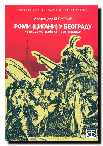 Romi (Cigani) u Beogradu : etnodemografska proučavanja