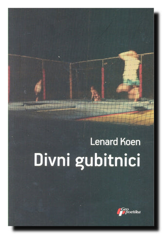 Divni gubitnici